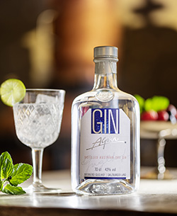 Gin Alpin Image web